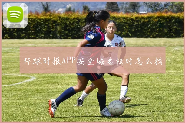 环球时报APP安全域名核对怎么找