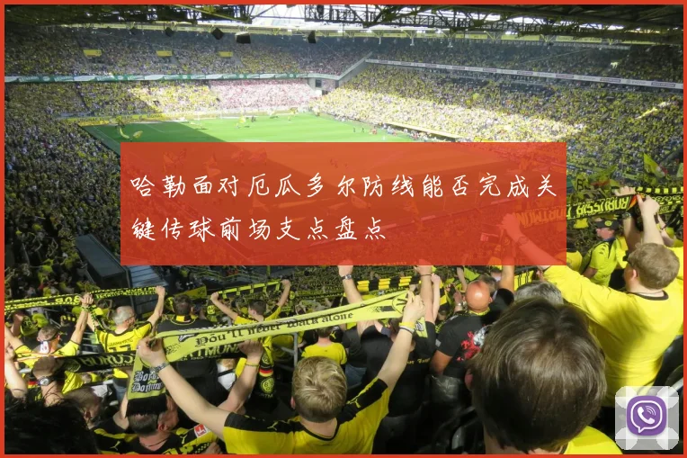 哈勒面对厄瓜多尔防线能否完成关键传球前场支点盘点