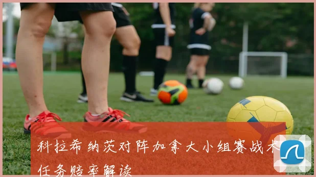 科拉希纳茨对阵加拿大小组赛战术任务赔率解读