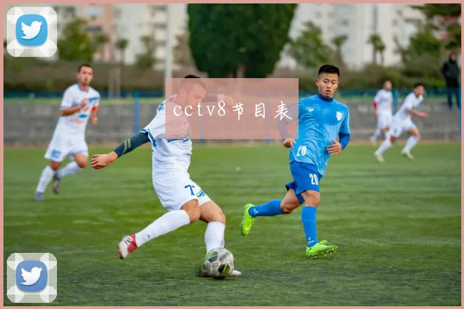 cctv8节目表